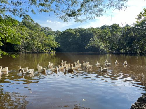 Terreno Ecoville Araçariguama 